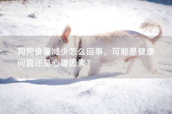 狗狗食量減少怎么回事，可能是健康問題還是心理因素？