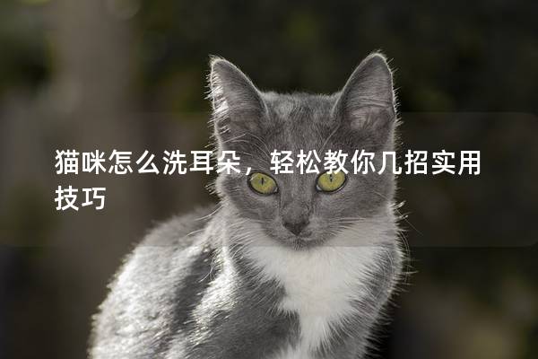 貓咪怎么洗耳朵，輕松教你幾招實用技巧