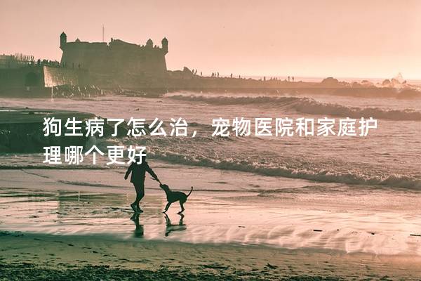 狗生病了怎么治，寵物醫(yī)院和家庭護理哪個更好