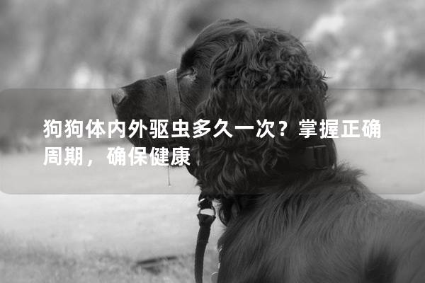 狗狗體內外驅蟲多久一次？掌握正確周期，確保健康