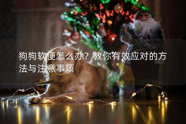 狗狗軟便怎么辦?教你有效應(yīng)對(duì)的方法與注意事項(xiàng) 狗狗軟便怎么辦?教你有效應(yīng)對(duì)的方法與注意事項(xiàng)