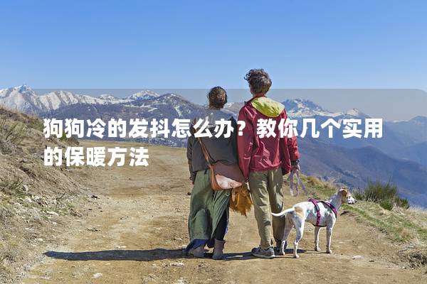 狗狗冷的發(fā)抖怎么辦？教你幾個實用的保暖方法