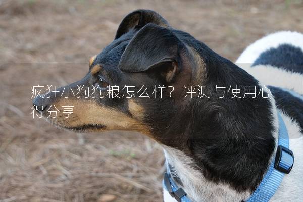 瘋狂小狗狗糧怎么樣？評測與使用心得分享