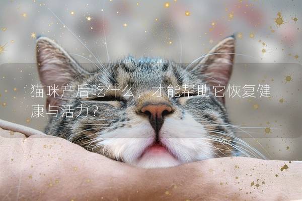 貓咪產(chǎn)后吃什么,才能幫助它恢復(fù)健康與活力? 貓咪產(chǎn)后吃什么,才能幫助它恢復(fù)健康與活力?