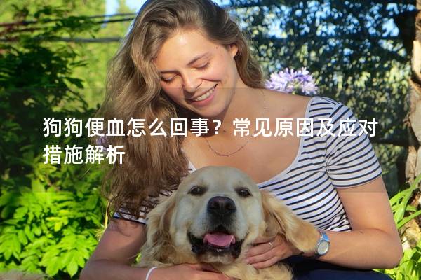 狗狗便血怎么回事？常見原因及應對措施解析