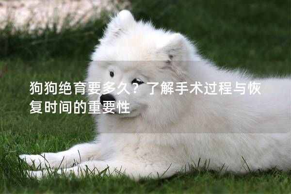 狗狗絕育要多久?了解手術過程與恢復時間的重要性 狗狗絕育要多久?了解手術過程與恢復時間的重要性