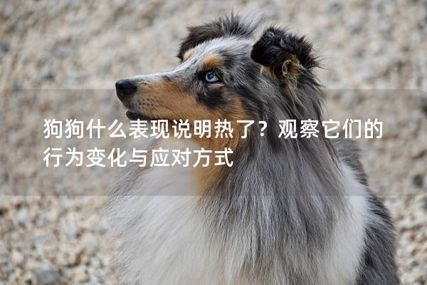 狗狗什么表現(xiàn)說明熱了?觀察它們的行為變化與應對方式 狗狗什么表現(xiàn)說明熱了?觀察它們的行為變化與應對方式