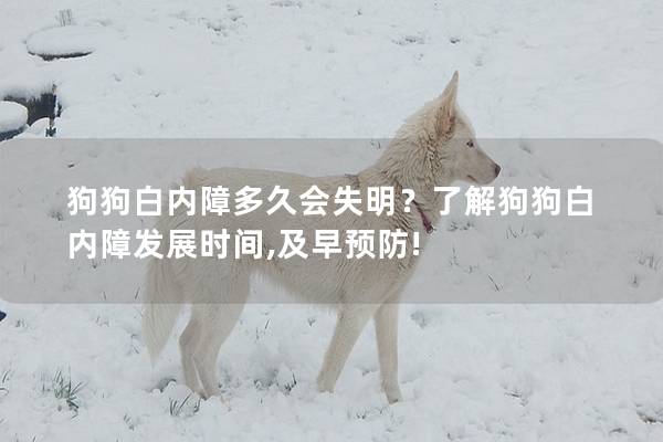 狗狗白內障多久會失明？了解狗狗白內障發展時間,及早預防!