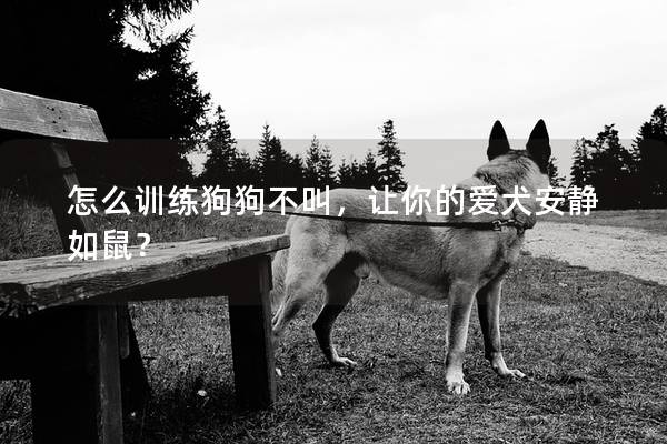 怎么訓練狗狗不叫,讓你的愛犬安靜如鼠? 怎么訓練狗狗不叫,讓你的愛犬安靜如鼠?