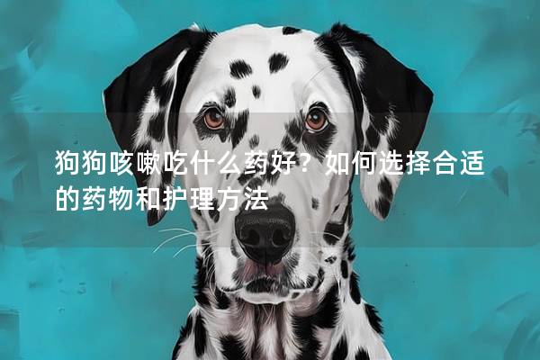 狗狗咳嗽吃什么藥好？如何選擇合適的藥物和護理方法