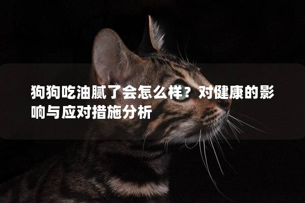 狗狗吃油膩了會(huì)怎么樣？對(duì)健康的影響與應(yīng)對(duì)措施分析