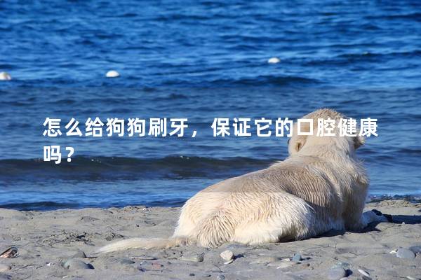 怎么給狗狗刷牙,保證它的口腔健康嗎? 怎么給狗狗刷牙,保證它的口腔健康嗎?