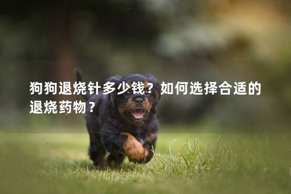 狗狗退燒針多少錢？如何選擇合適的退燒藥物？