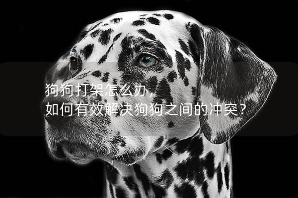 狗狗打架怎么辦, 如何有效解決狗狗之間的沖突？