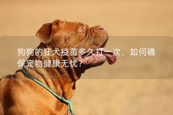 狗狗的狂犬疫苗多久打一次，如何確保寵物健康無憂？