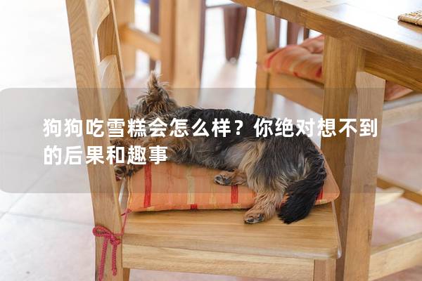 狗狗吃雪糕會怎么樣？你絕對想不到的后果和趣事