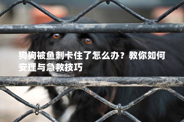 狗狗被魚刺卡住了怎么辦？教你如何安理與急救技巧
