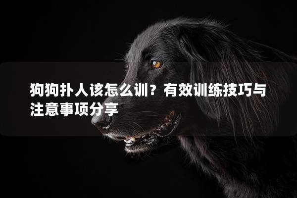 狗狗撲人該怎么訓？有效訓練技巧與注意事項分享