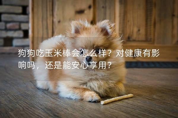 狗狗吃玉米棒會怎么樣？對健康有影響嗎，還是能安心享用？