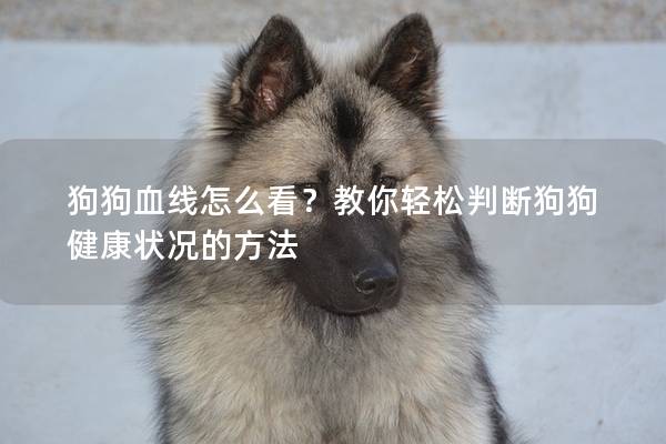 狗狗血線怎么看？教你輕松判斷狗狗健康狀況的方法