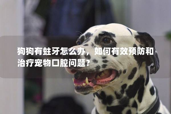 狗狗有蛀牙怎么辦，如何有效預防和治療寵物口腔問題？