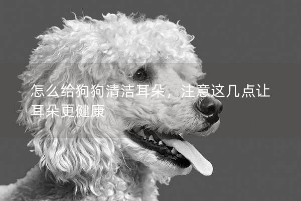 怎么給狗狗清潔耳朵，注意這幾點讓耳朵更健康
