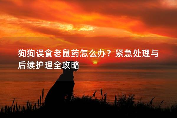 狗狗誤食老鼠藥怎么辦?緊急處理與后續護理全攻略 狗狗誤食老鼠藥怎么辦?緊急處理與后續護理全攻略