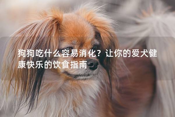 狗狗吃什么容易消化？讓你的愛(ài)犬健康快樂(lè)的飲食指南