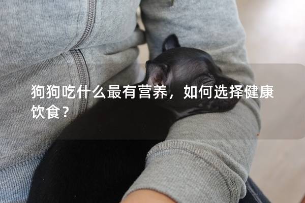 狗狗吃什么最有營養(yǎng),如何選擇健康飲食? 狗狗吃什么最有營養(yǎng),如何選擇健康飲食?