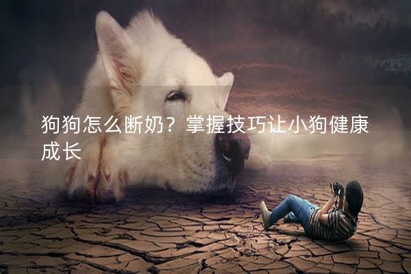 狗狗怎么斷奶?掌握技巧讓小狗健康成長(zhǎng) 狗狗怎么斷奶?掌握技巧讓小狗健康成長(zhǎng)