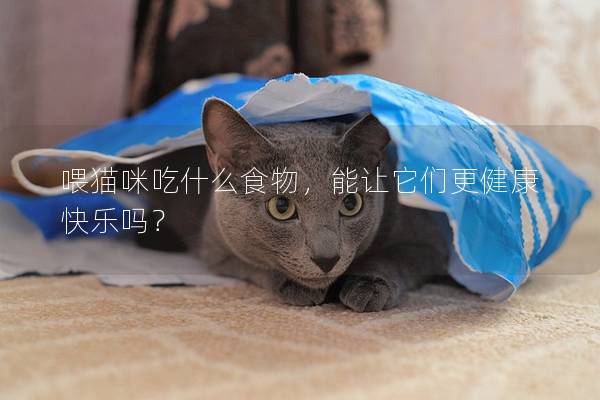 喂貓咪吃什么食物，能讓它們更健康快樂嗎？