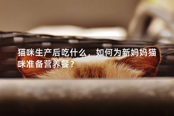 貓咪生產后吃什么，如何為新媽媽貓咪準備營養餐？