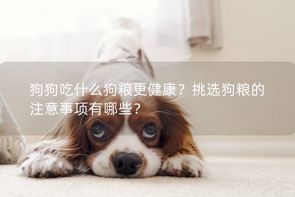 狗狗吃什么狗糧更健康？挑選狗糧的注意事項(xiàng)有哪些？
