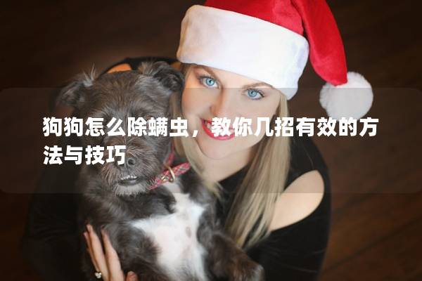 狗狗怎么除螨蟲，教你幾招有效的方法與技巧