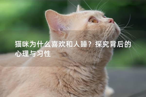 貓咪為什么喜歡和人睡？探究背后的心理與習性