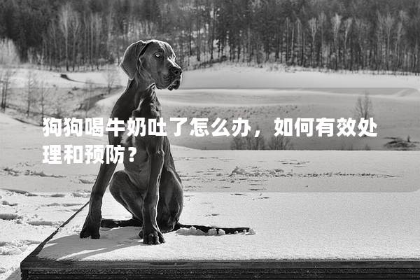 狗狗喝牛奶吐了怎么辦，如何有效處理和預防？