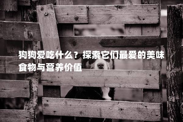 狗狗愛吃什么？探索它們最愛的美味食物與營養價值