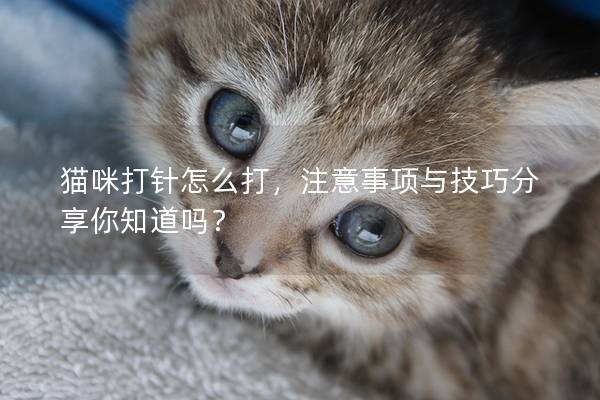 貓咪打針怎么打,注意事項(xiàng)與技巧分享你知道嗎? 貓咪打針怎么打,注意事項(xiàng)與技巧分享你知道嗎?