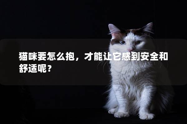 貓咪要怎么抱，才能讓它感到安全和舒適呢？