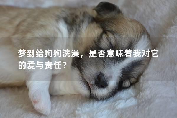 夢到給狗狗洗澡，是否意味著我對它的愛與責任？