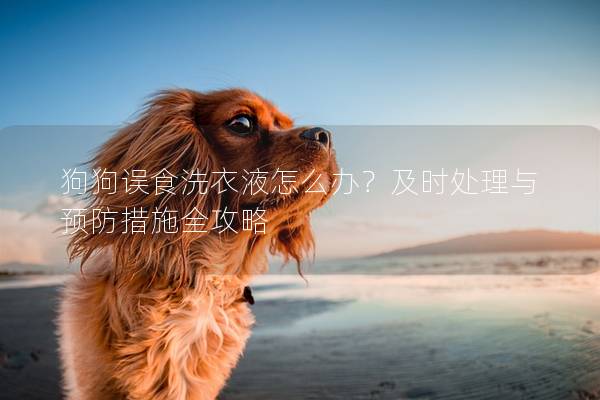 狗狗誤食洗衣液怎么辦？及時(shí)處理與預(yù)防措施全攻略