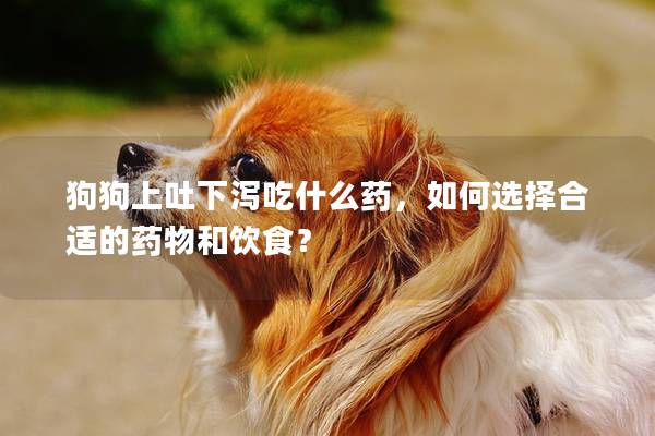 狗狗上吐下瀉吃什么藥，如何選擇合適的藥物和飲食？