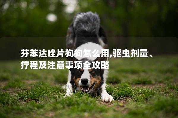 芬苯達唑片狗狗怎么用,驅蟲劑量、療程及注意事項全攻略