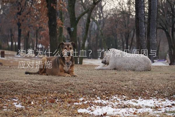 狗狗為什么會吐血？了解常見原因與應對措施