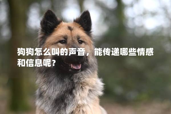 狗狗怎么叫的聲音，能傳遞哪些情感和信息呢？