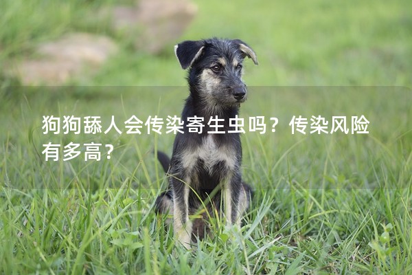 狗狗舔人會傳染寄生蟲嗎？傳染風(fēng)險有多高？