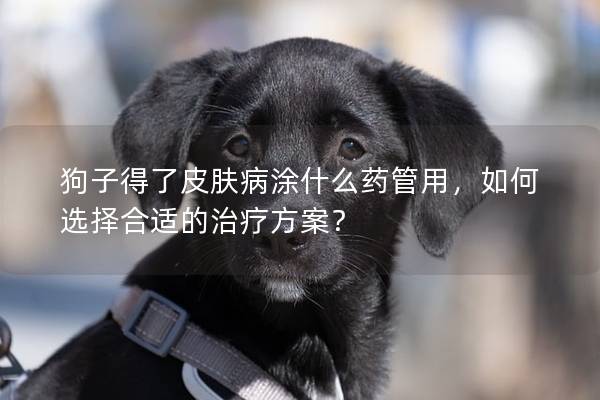 狗子得了皮膚病涂什么藥管用，如何選擇合適的治療方案？