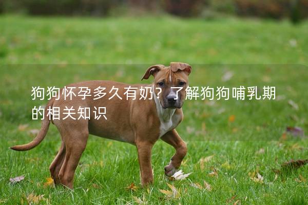 狗狗懷孕多久有奶？了解狗狗哺乳期的相關知識