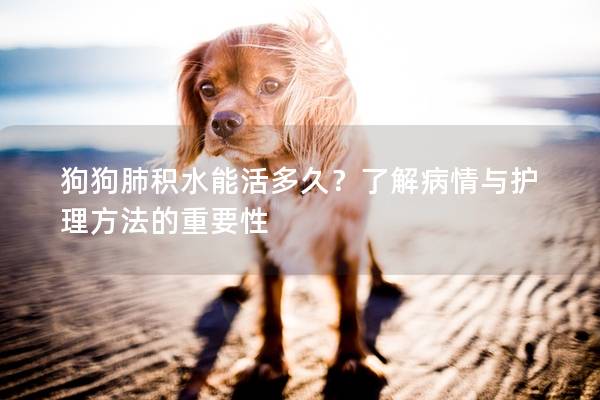 狗狗肺積水能活多久？了解病情與護(hù)理方法的重要性