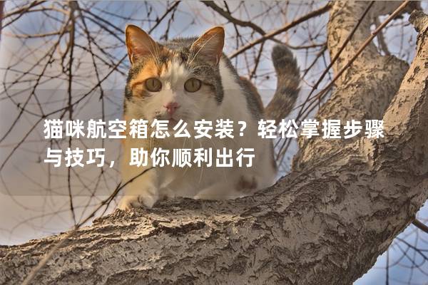 貓咪航空箱怎么安裝？輕松掌握步驟與技巧，助你順利出行